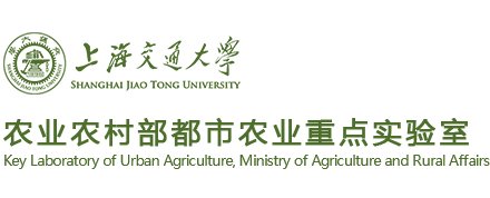 体育竞赛联赛